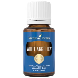 WHITE ANGELICA YOUNG LIVING ESSENTIAL OILS FOR BEAUTY